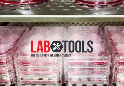 Optimizing Stem Cell Media for Cultured Meat Production Optimizing Stem Cell Media for Cultured Meat Production